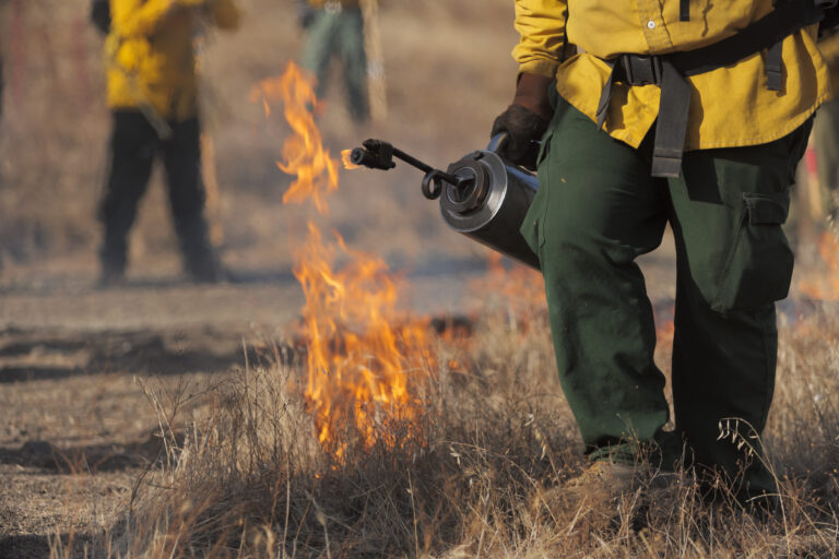Quema Controlada en el Parque Rancho Cuyamaca: Precauciones por Posible Humo