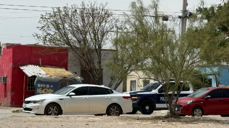 Confirmada la Causa de Muerte del Adulto Mayor en Torreón: Detalles del Caso en Santa Sofía