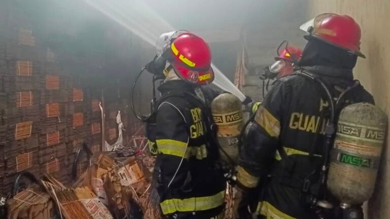 Incendio en Mercado de Abastos de Guadalajara: Un Lesionado y Gato Rescatado
