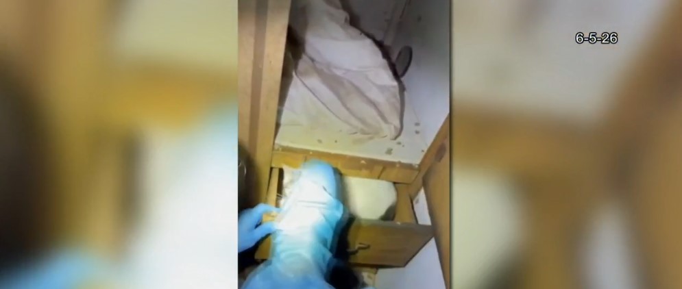 Rescate de Animales en Kansas: 28 Gatos Encontrados en Condiciones Extremas en Augusta