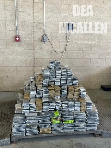 Incautan 800 Libras de Metanfetamina Ocultas en Calabazas en McAllen