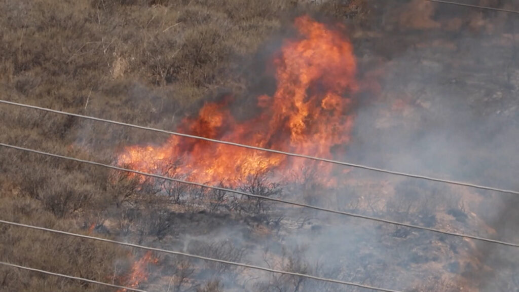 Incendios forestales en Monterey: impulsan programa de seguridad y preparación para residentes