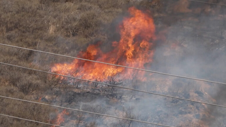 Incendios forestales en Monterey: impulsan programa de seguridad y preparación para residentes