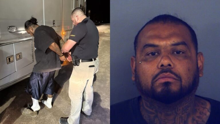 Crueldad animal en El Paso: arrestan a un hombre y rescatan a 35 animales en una vivienda