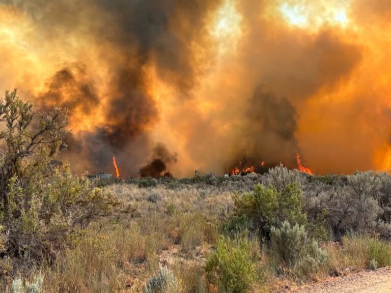 Incendio Dry Creek crece a 315 acres al sur de Rifle