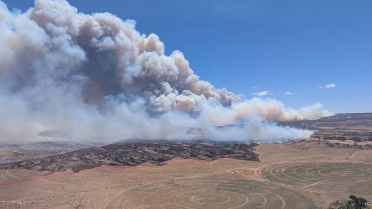 Incendio Snyder Mesa: identifican a los tres bomberos forestales fallecidos en Colorado