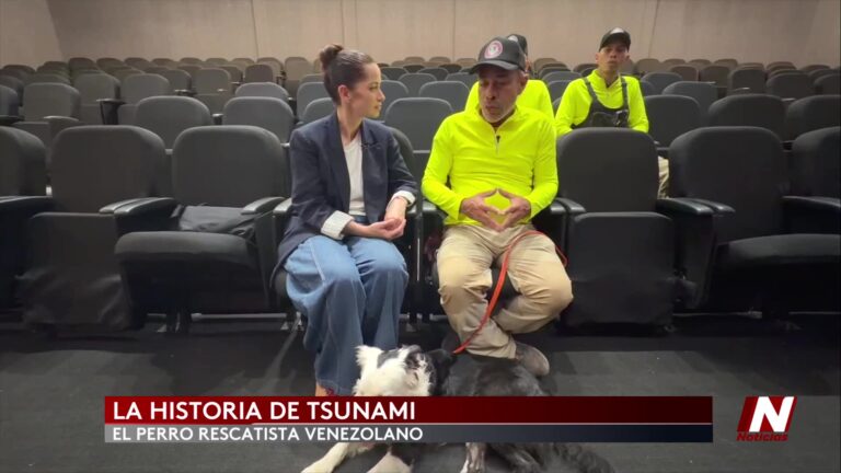 Incendios en Nevada: cómo preparar a las mascotas ante la temporada alta de emergencias
