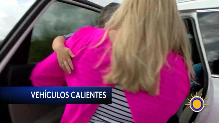 Hipertermia vehicular: seis muertes de niños en EE. UU. reavivan la alerta en Texas