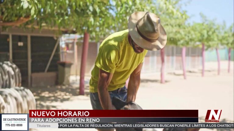 Adopción de mascotas: la SPCA Nevada amplía sus horarios en Reno para facilitar nuevos hogares