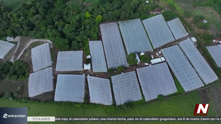 Fenómeno de El Niño: cómo la sequía está afectando la agricultura en Centroamérica