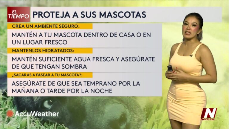 Calor extremo en Texas: recomendaciones para cuidar a tus mascotas este fin de semana