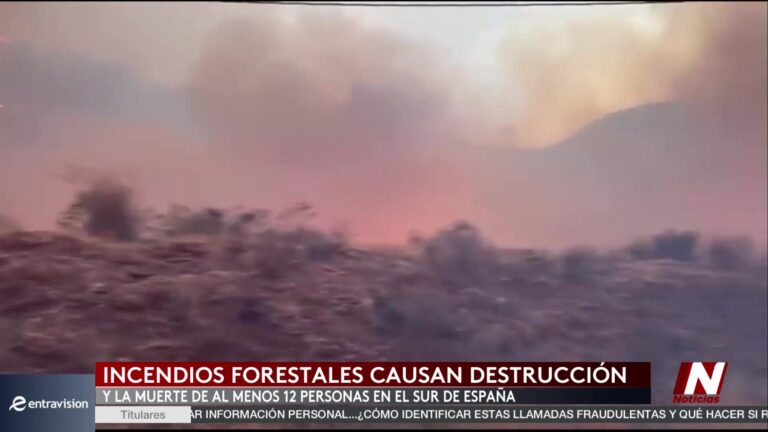 Incendios forestales en España: 12 muertos y decenas de desaparecidos en Almería