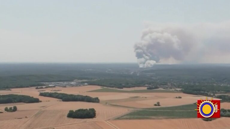 Incendio forestal en Francia al sur de París desata emergencia y sospechas de origen intencional