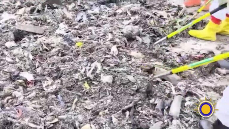 Asesinato de adolescente en Luisiana: FBI intensifica la búsqueda de restos de Yaderius Mineweather