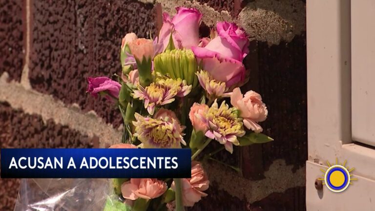 Asesinatos en Illinois: dos adolescentes acusados en un caso que conmociona al este de San Luis