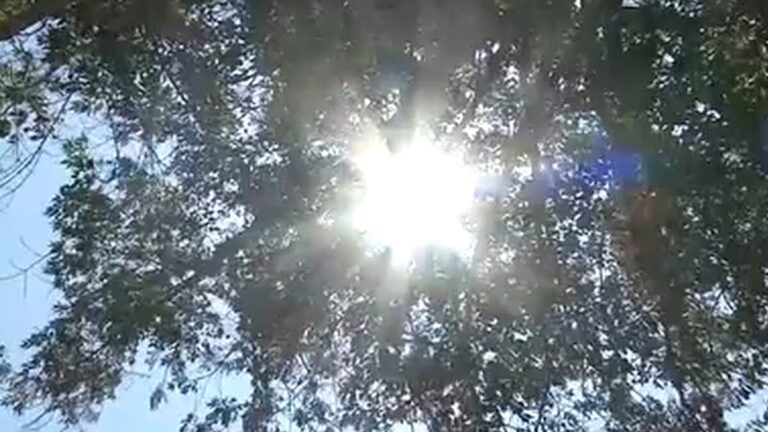 Ola de calor en San Diego: expertos piden extremar precauciones para evitar un golpe de calor