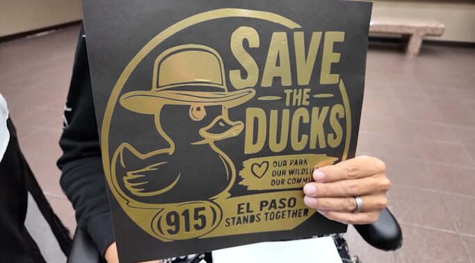 Condado de El Paso pausa decisión sobre el estanque de patos en Ascarate Park tras protestas de residentes