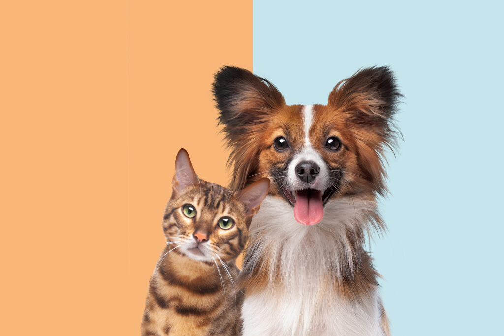 CVS ofrecerá medicamentos para mascotas en sus farmacias de todo Estados Unidos