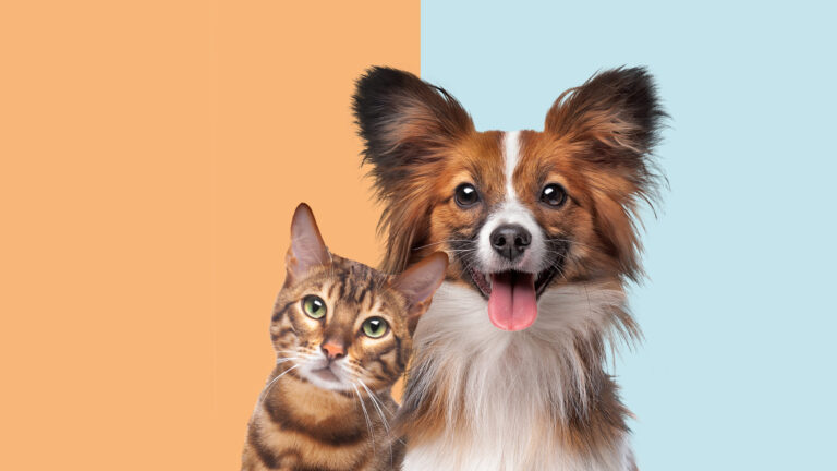 CVS ofrecerá medicamentos para mascotas en sus farmacias de todo Estados Unidos