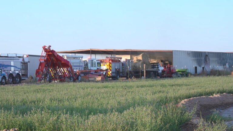 Incendio en San Elizario moviliza a varios cuerpos de bomberos en la granja Las Gemas