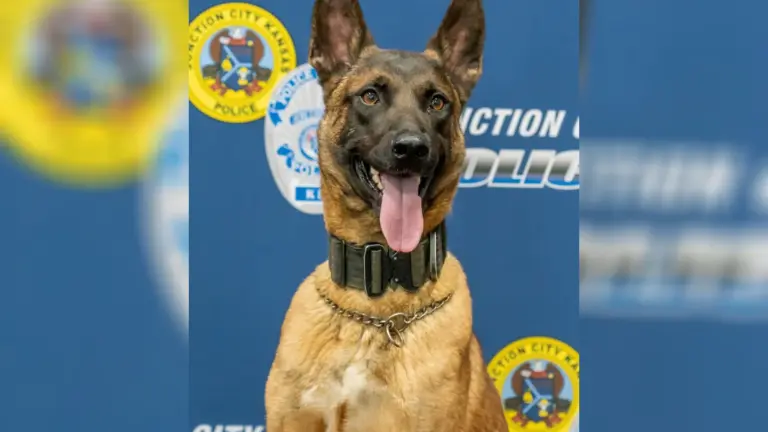Perro K-9 muere por golpe de calor en Kansas: investigan el caso en Junction City