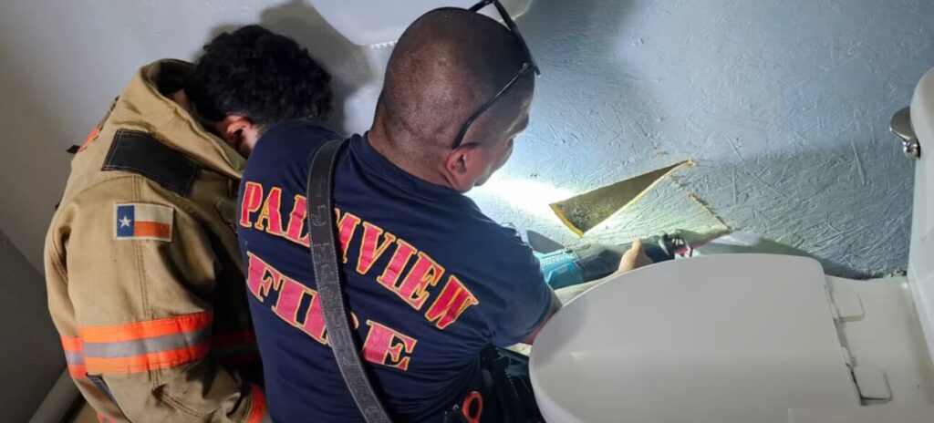 Bomberos de Palmview rescatan a tres gatitos atrapados dentro de una pared