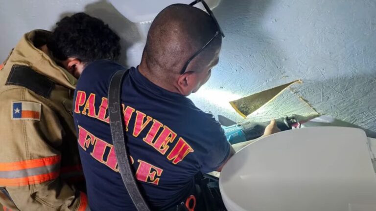 Bomberos de Palmview rescatan a tres gatitos atrapados dentro de una pared