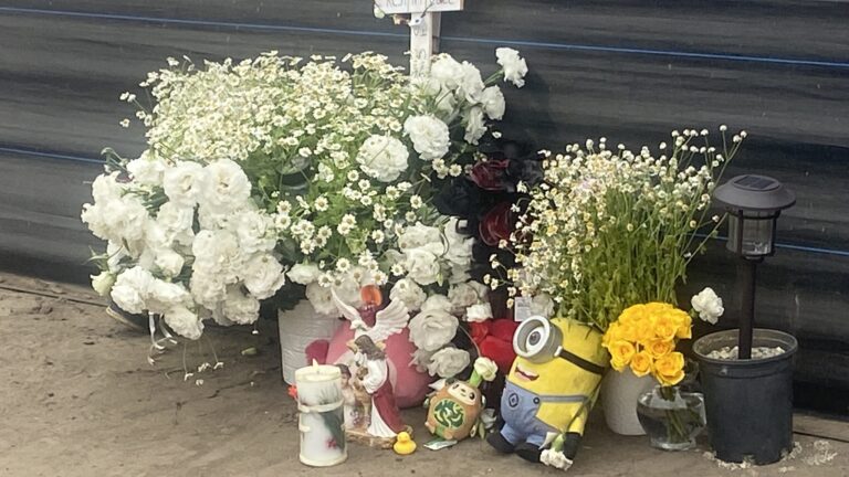Investigan hallazgo de recién nacido sin vida en Moss Landing; autoridades localizan vehículo de interés