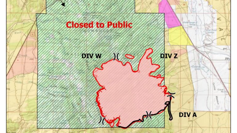 Ward Fire: 593 bomberos combaten devastador incendio de 8,775 acres en Nevada