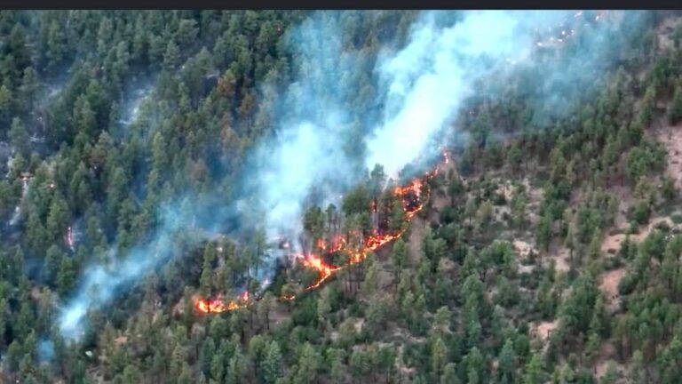 Combaten el incendio forestal “Beacon Fire” cerca de las montañas Turkey en el condado de Mora