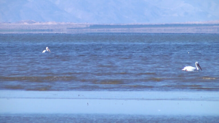 Líderes indígenas piden protección histórica para tierras sagradas del Salton Sea ante expansión del Valle del Litio