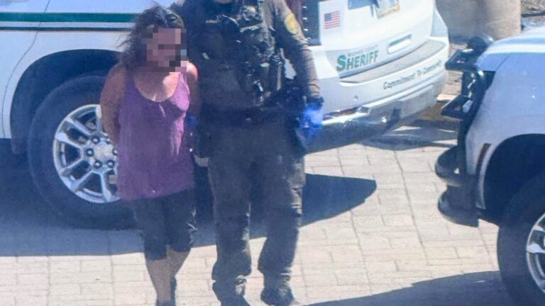 Arresto por incendio: mujer de 47 años confiesa haber provocado fuego forestal en Nevada