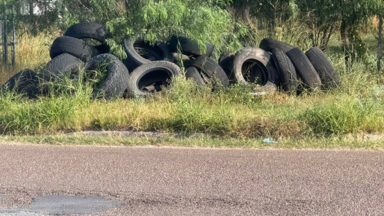 Refuerzan llamado contra el tiradero ilegal de basura en Progreso