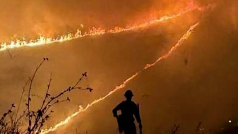 Incendio Timber supera las 4,500 acres y amenaza a más de 500 estructuras en Monterey