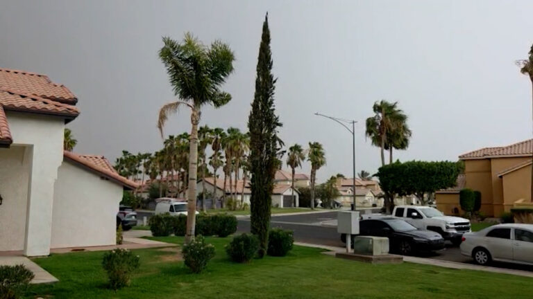 Tormenta derriba 118 postes y deja a miles sin electricidad en Imperial Valley