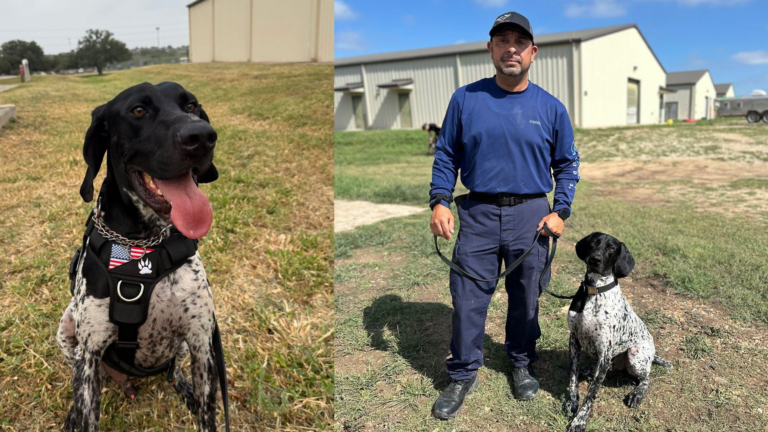 Odi, el nuevo perro detector de bombas que se suma a la Policía y al Aeropuerto