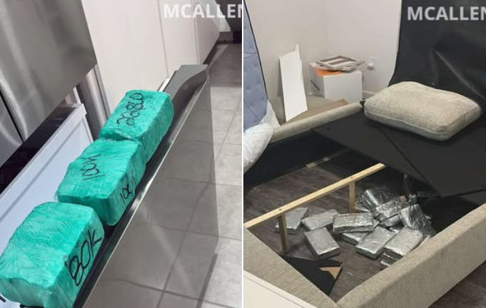 Autoridades decomisan más de $700 mil en efectivo y más de 80 libras de cocaína
