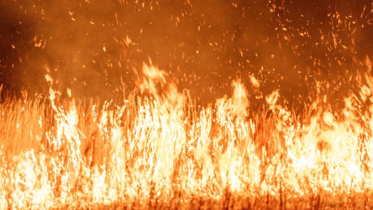 Evacúan alrededor de una docena de viviendas por gran incendio de pastizales en Kansas