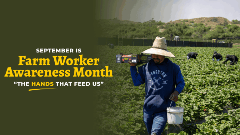 Trabajadores agrícolas podrían recibir ajustes salariales tras fallo federal sobre visas H-2A