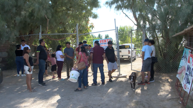 Venta de Peces en el Desierto
