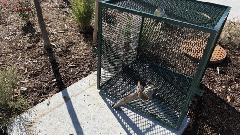GALERÍA: Vandalismo causa más de $10,000 en daños y obliga a cerrar áreas de parque en Bennett
