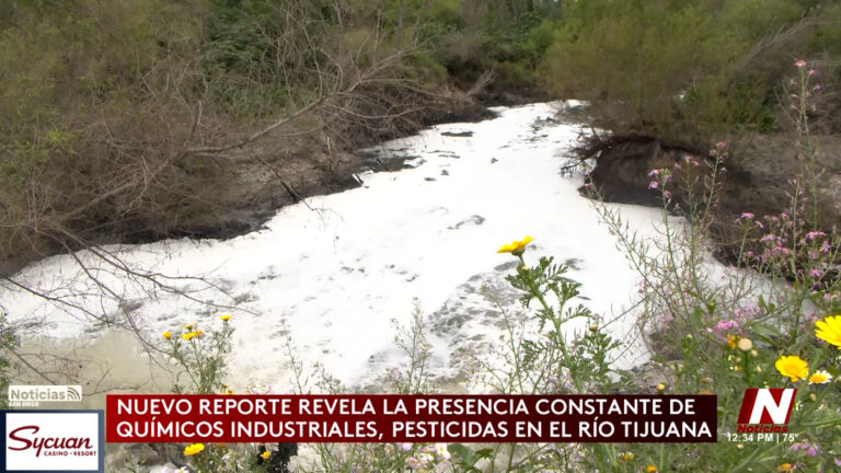 Reporte detecta químicos industriales y niveles elevados de E. coli en el río Tijuana
