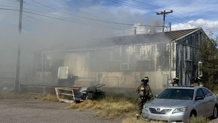 Sin lesionados tras incendio de una estructura en W. Organ Avenue en Las Cruces