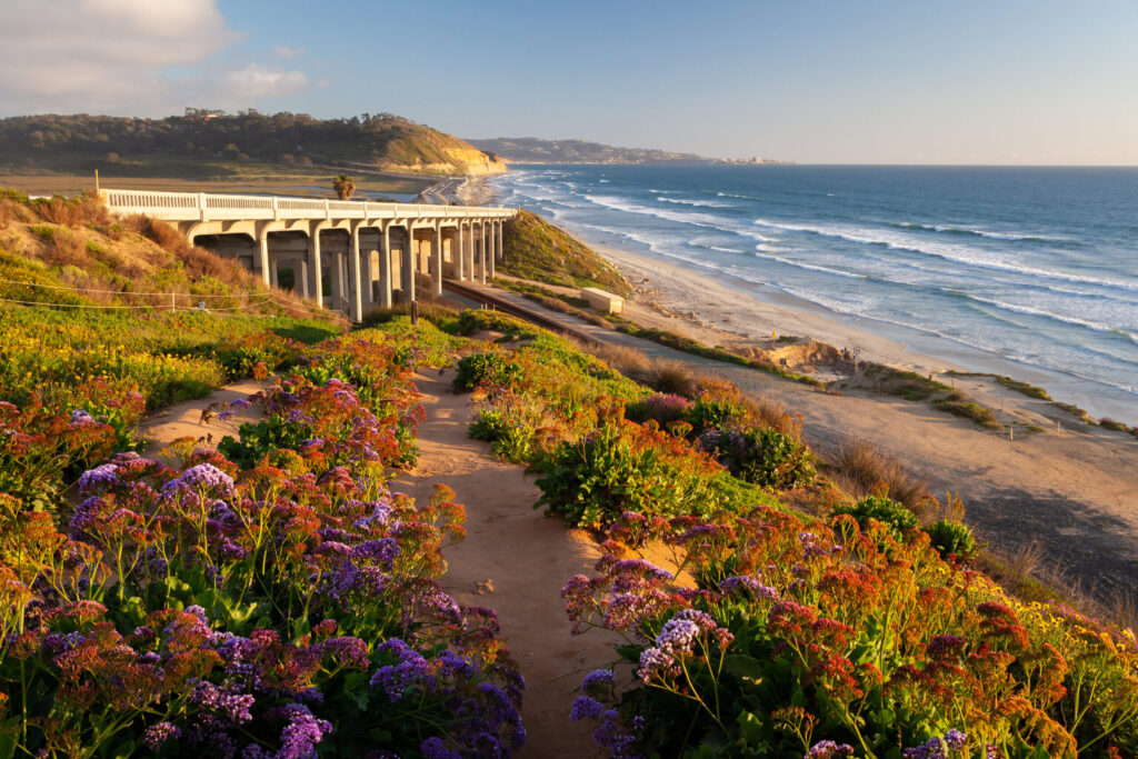 Torrey Pines cerrará este martes por obras de infraestructura y accesibilidad hasta marzo de 2027