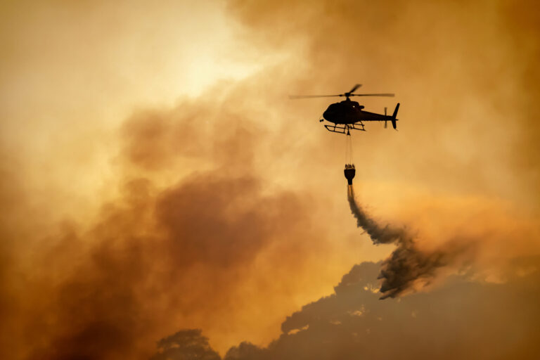 CAL FIRE destina $10 millones a proyectos para prevenir incendios y restaurar bosques en California
