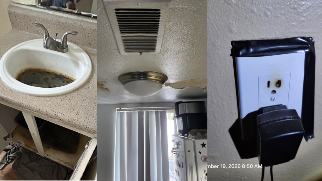 Aguas negras y cables expuestos: Albuquerque sanciona a complejo de apartamentos Mont44
