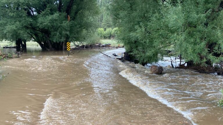 Oficina del Alguacil de Mora advierte por nuevas inundaciones en la ruta Pine Tree Road