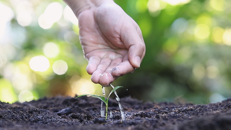 El Centro Invita a la comunidad a plantar árboles en el Parque Gómez