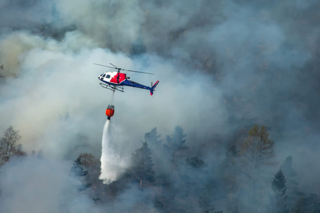 Reabren parques estatales de Big Sur tras avance en combate a incendios