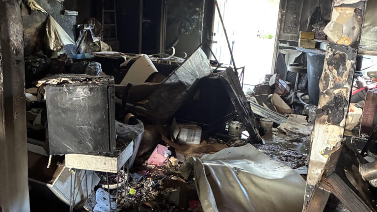 Feroz incendio: 1 herido y un perro fallecido tras fuego residencial en el Condado Clark